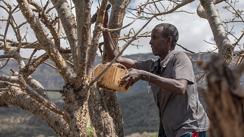 Video thumbnail for Somaliland looks to Israel for help with water crisis
