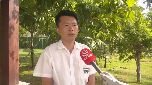 Video thumbnail for China: China's southernmost city Sansha introduces breadfruit trees to enrich island ecology.