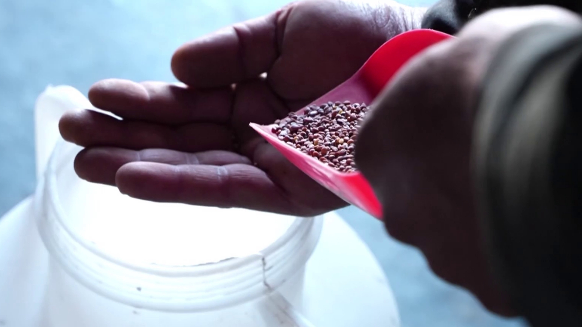 Video thumbnail for Idlib heirloom seeds help displaced families become self-sufficient