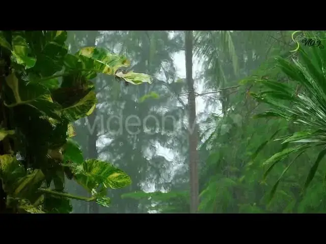 Video thumbnail for Most satisfying Rain