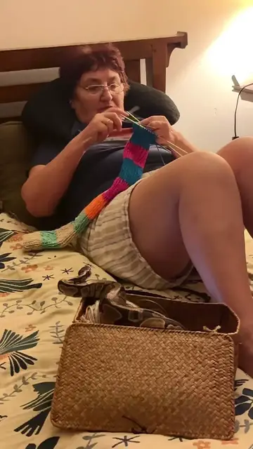 Video thumbnail for Grandmother Knits a Colorful Sweater for a Pet Ball Python