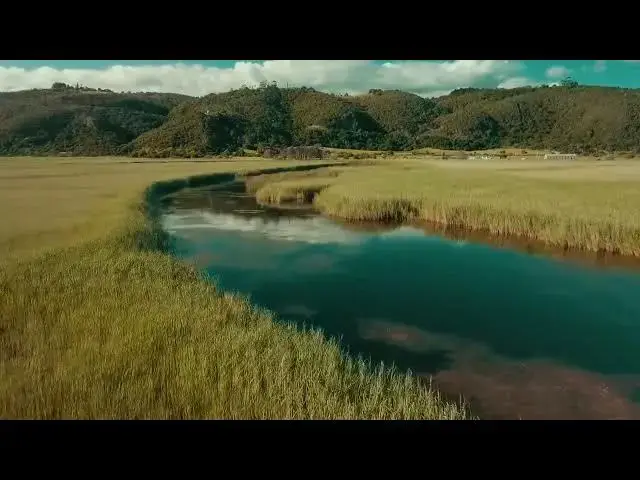 Video thumbnail for Beautiful Green Field Scenery