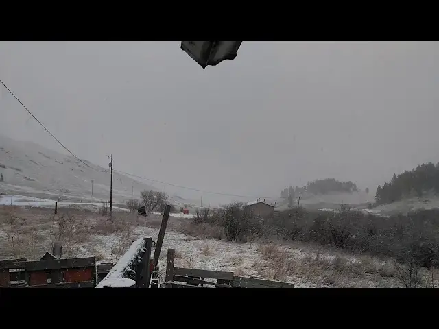 Video thumbnail for LET IT ❄ ❄ SNOW