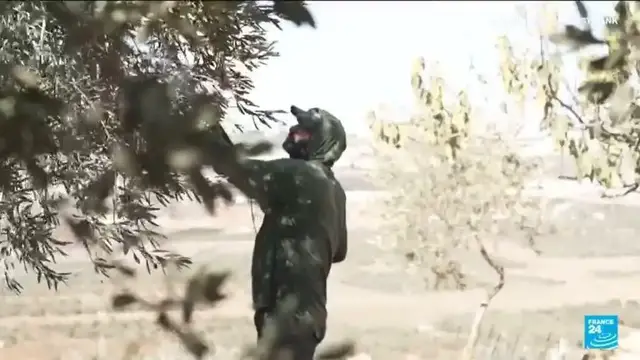 'Video thumbnail for Settler attacks on the the West Bank reach highest level since 2006, says the UN'