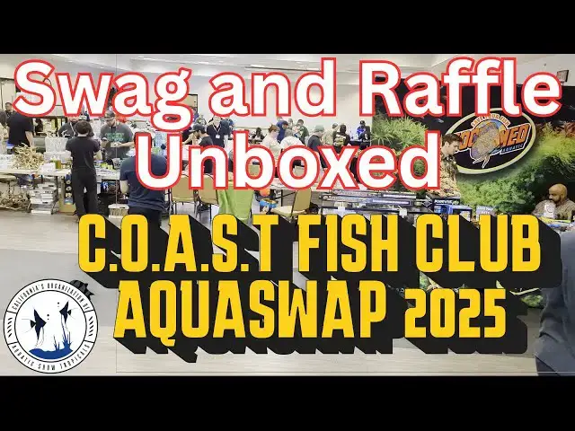 Video thumbnail for Swag and Raffle wins from Aquaswap 2025 presented by Coast Fish Club