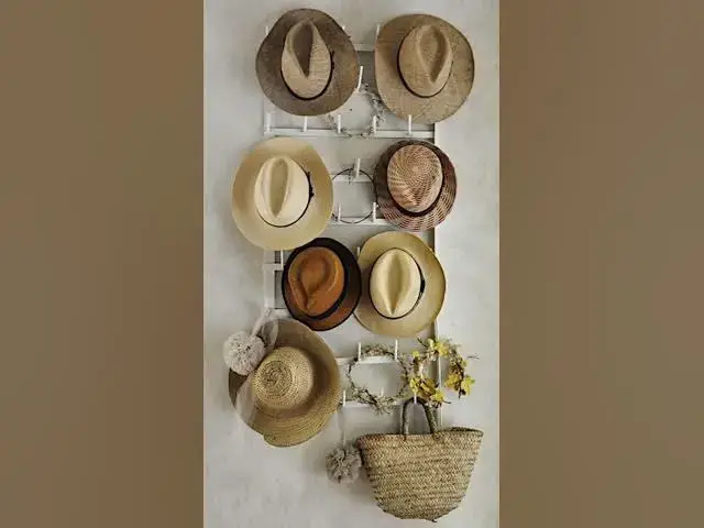 Video thumbnail for DICA de organização de chapéus #organizacao