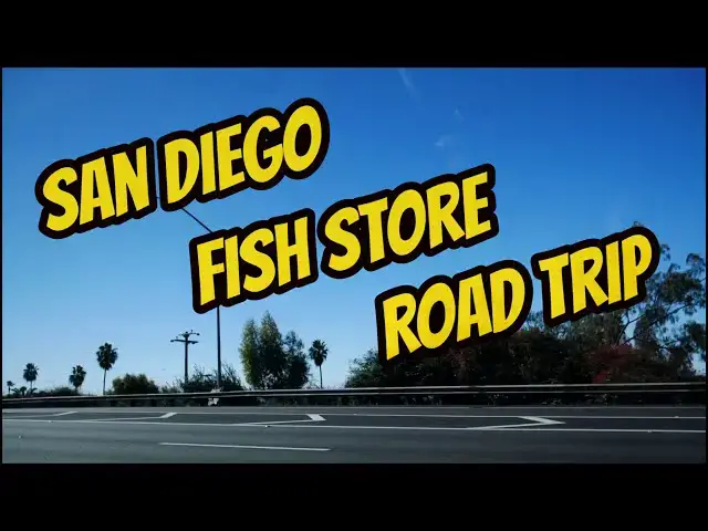 Video thumbnail for San Diego Fish Store Road Trip - Coast Gem USA