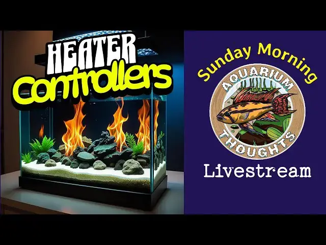 Video thumbnail for Heater Controllers and their Importance -  Aquarium Thoughts