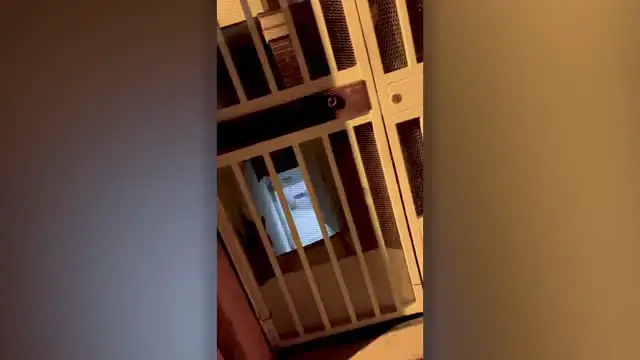 Video thumbnail for Son Reunites With Blind Father After 3 Years Apart | Happily TV