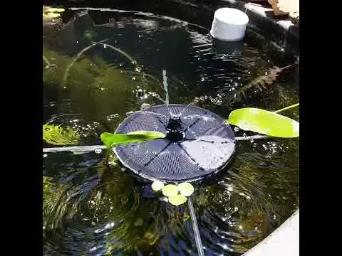 Video thumbnail for When solar water pump fountain gets sun to work. 😁