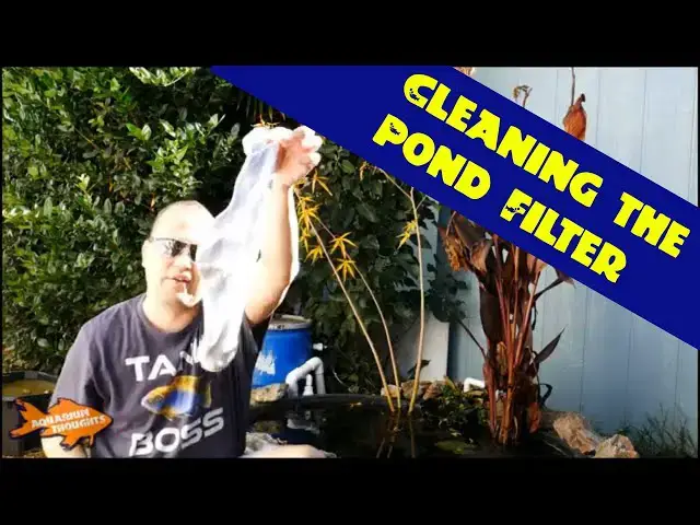 Video thumbnail for Cleaning out the Pond Swirl Filter