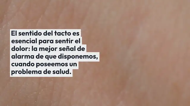 Video thumbnail for El sentido del tacto