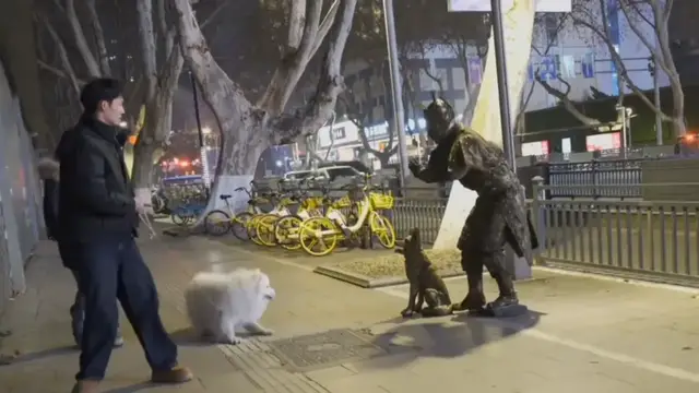Video thumbnail for Samoyed's Hilarious Surprise from Living Statue in China
