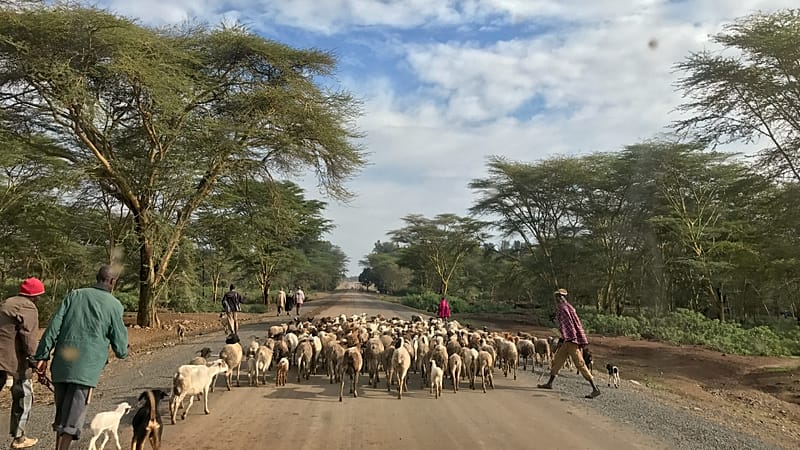 Video thumbnail for Meet the Kenyan teaching robotics to children in rural areas