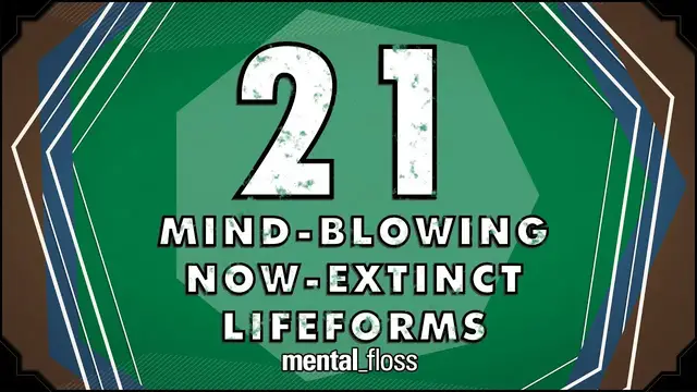 'Video thumbnail for 21 Mind-Blowing Now-Extinct Lifeforms - mental_floss on YouTube (Ep.51)'