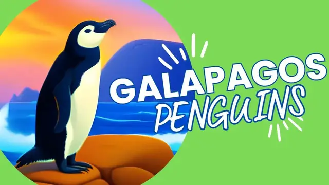 Video thumbnail for 10 Fascinating Facts About the Galapagos Penguin, the Only Penguins in the Tropics