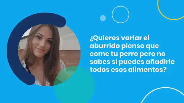 Video thumbnail for 50 frutas y verduras que los perros PUEDEN o NO PUEDEN comer