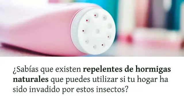 Video thumbnail for ¿Por qué poner café y bicarbonato de sodio frente a la puerta de la casa?