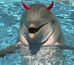Video thumbnail for The dolphin followed her home but it kept interupting our date