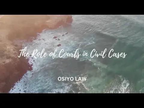 Video thumbnail for The Role of Courts in Civil Cases