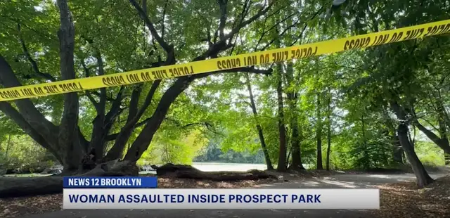 Video thumbnail for NYPD Special Victim's Unit investigates attempted rape inside Prospect Park