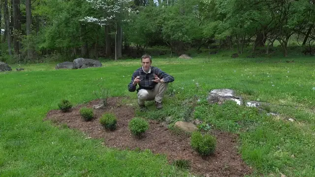 Video thumbnail for How to Create a Modern ROSE GARDEN - Easy to Care For, Fragrant, Beautiful