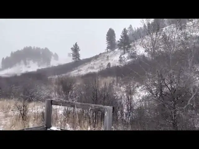 'Video thumbnail for ❄ ❄ SNOWING 🌨  ❄ ❄'