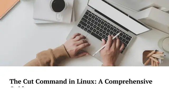 Video thumbnail for cut command in Linux with examples | 'cut' commands