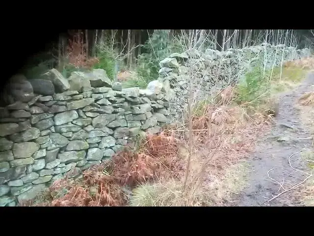 'Video thumbnail for Making use of a dry stone wall to teach Betty to 'get over'.'
