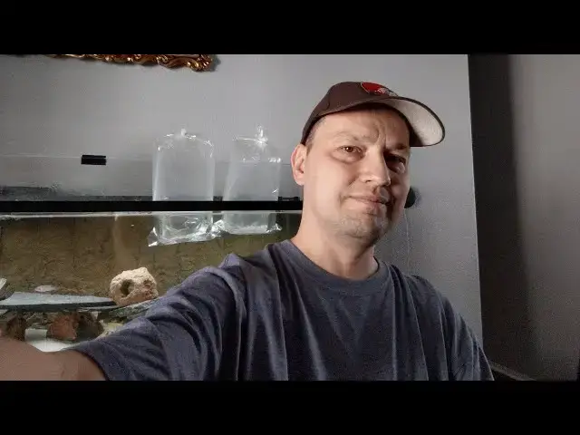 Video thumbnail for Impromptu Livestream - Unveiling New Fish