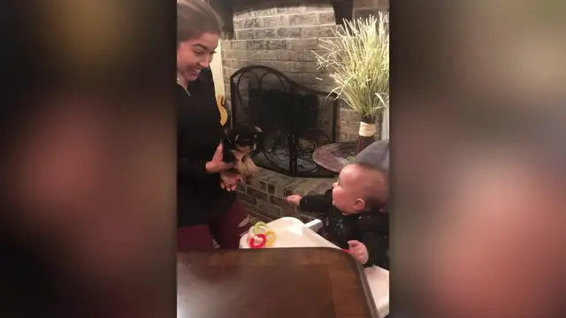 Video thumbnail for Baby And Puppy Meet For First Time | Happily TV