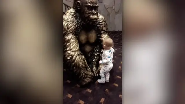 Video thumbnail for Baby Tries To Breastfeed From Gorilla Statue | Happily TV