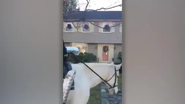 Video thumbnail for Knight In Shining Armor Proposal | Happily TV