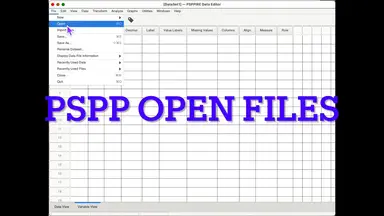 'Video thumbnail for Two PSPP annoyances (and how to get around them)'