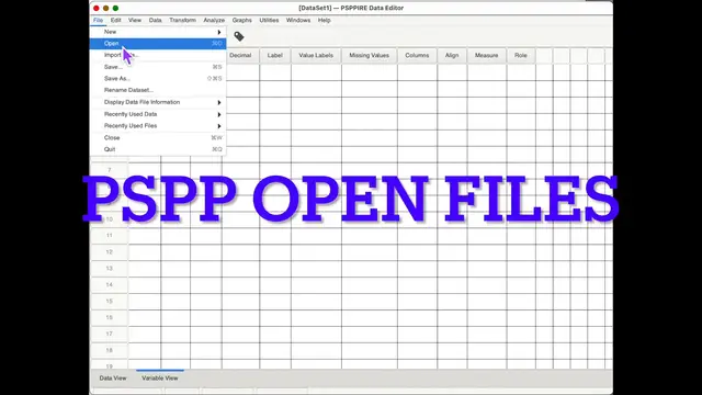 'Video thumbnail for Two PSPP annoyances (and how to get around them)'