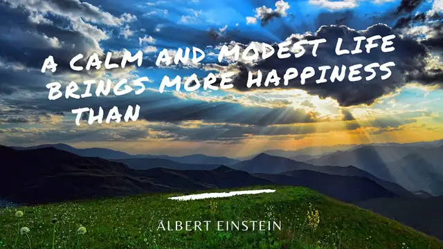 'Video thumbnail for Happiness and Pursuit of Success Quote'