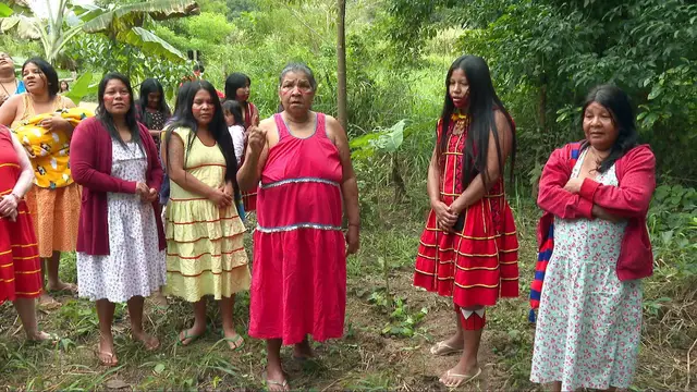 'Video thumbnail for Brazil's Atlantic Forest: Indigenous Maxacali people lead restoration effort'