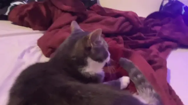 Video thumbnail for Maui