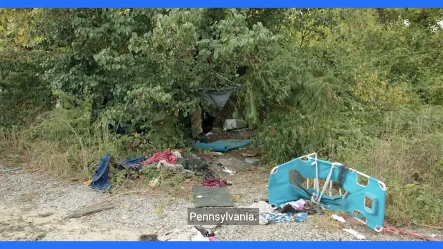 Video thumbnail for Heartwarming Stories from Animal Shelters in Pennsylvania