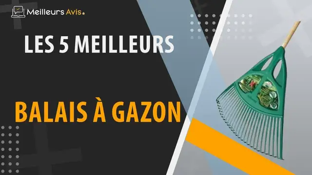 Video thumbnail for ⭐️ MEILLEUR BALAI A GAZON - Comparatif 2023