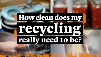 'Video thumbnail for How Clean Must Food Containers Be In Order To Recycle Them?'