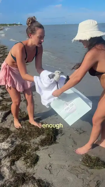 Video thumbnail for Rescuing an Injured Seabird on a Miami Beach