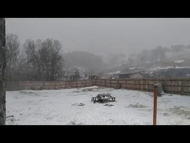 Video thumbnail for SNOW FOR CHRISTMAS 2020