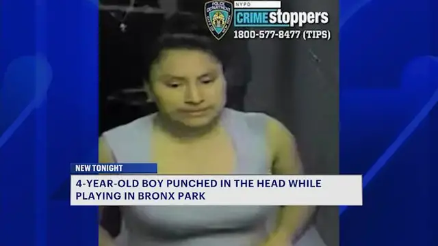 Video thumbnail for Bronx mother says police never showed up after 4-year-old son was allegedly punched at park