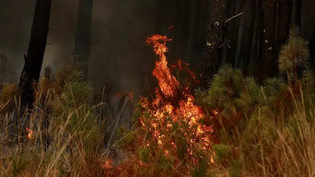 Video thumbnail for Wildfires test France and Spain as heat warnings return
