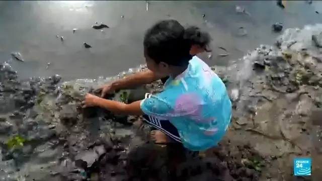 'Video thumbnail for Fighting climate change with imaginative methods in East-Timor'