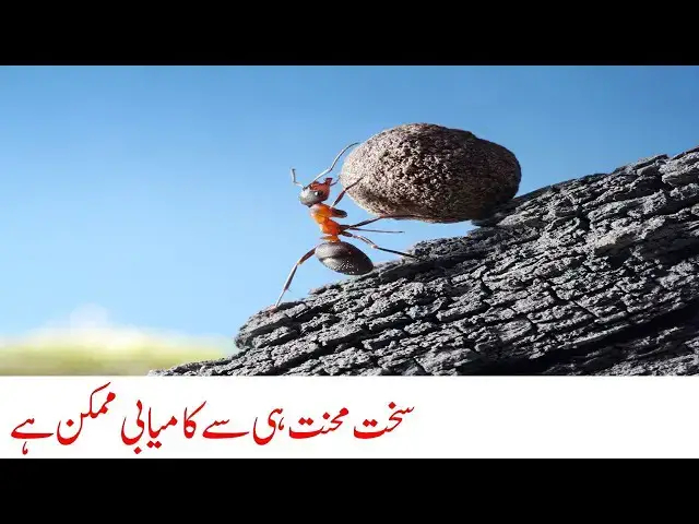 Video thumbnail for Do Hard Work in Life for Success| Dr. Amjad Bhatti YT | Motivational World