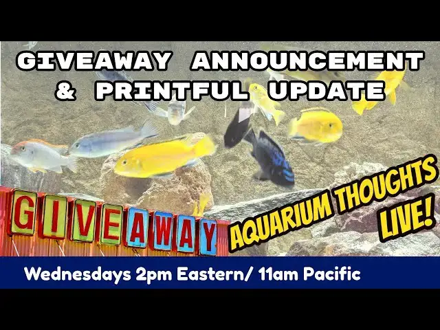 Video thumbnail for Giveaway & Printful TShirt Update! - Aquarium Thoughts Live! #2009