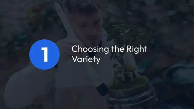 Video thumbnail for Growing Hostas Indoors