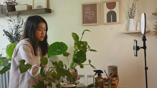 'Video thumbnail for Fiddle Leaf Fig Light Secrets: Tips to Ensure Proper Growth'